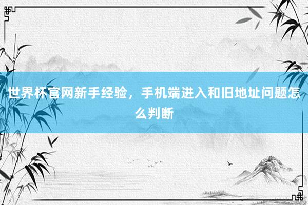 世界杯官网新手经验，手机端进入和旧地址问题怎么判断