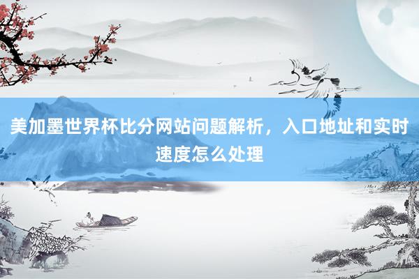 美加墨世界杯比分网站问题解析，入口地址和实时速度怎么处理